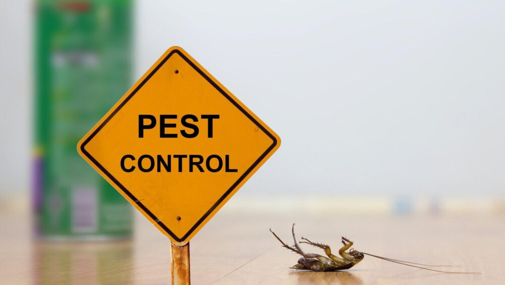who is responsible for pest control when renting