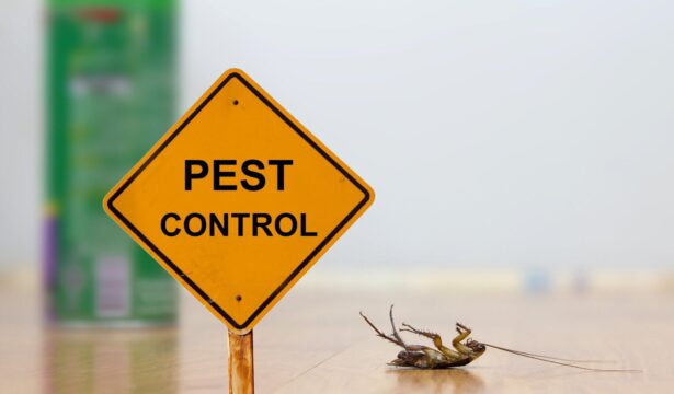 who is responsible for pest control when renting
