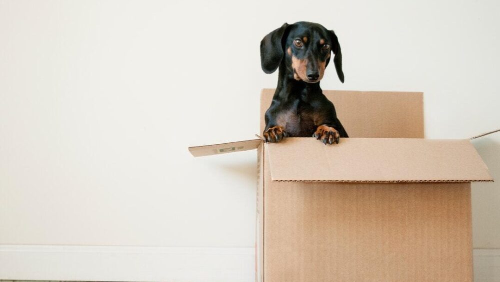 move-out inspection checklist