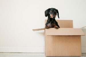 move-out inspection checklist