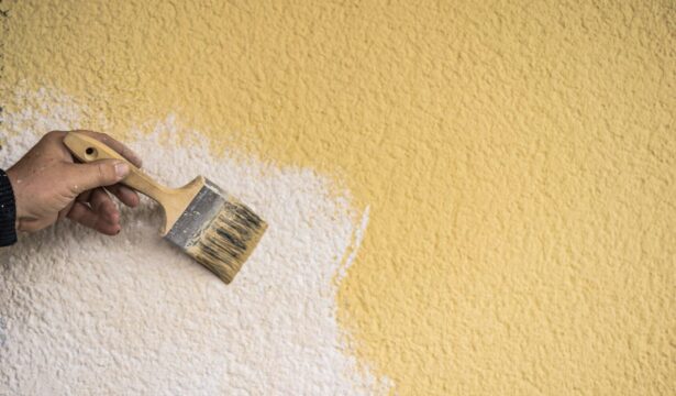 can a landlord charge for painting